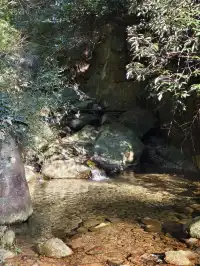 趁紅楓銀杏未落，走一趟莫干山蔣公古道吧！