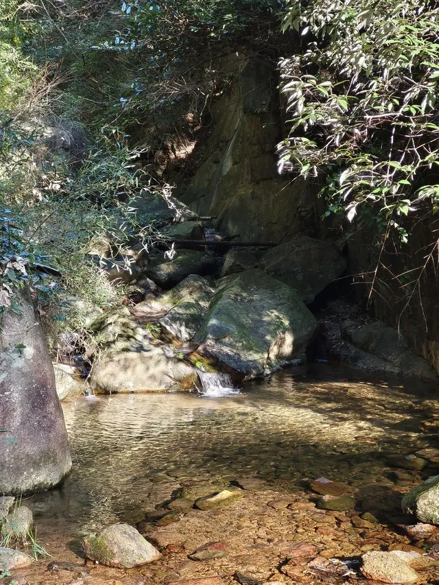 趁紅楓銀杏未落，走一趟莫干山蔣公古道吧！