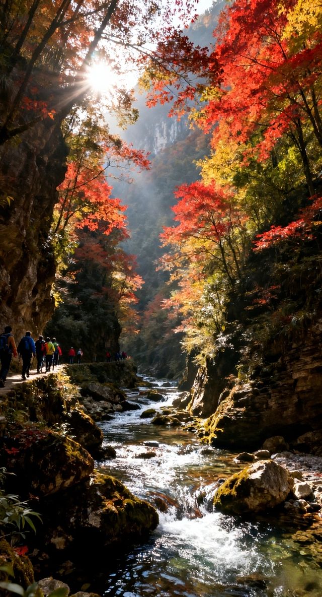 南津關秋冬開掛！徒步穿紅葉秘境，冰瀑藏著峽谷慢時光