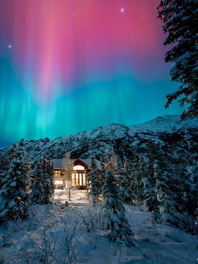 美國聖誕旅行清單！四個必去冬日特色好去處