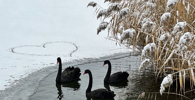 工業復古、歷史秘境、城郊雪景 工業復古、歷史秘境、城郊雪景