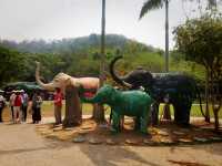 西雙版納原始森林公園