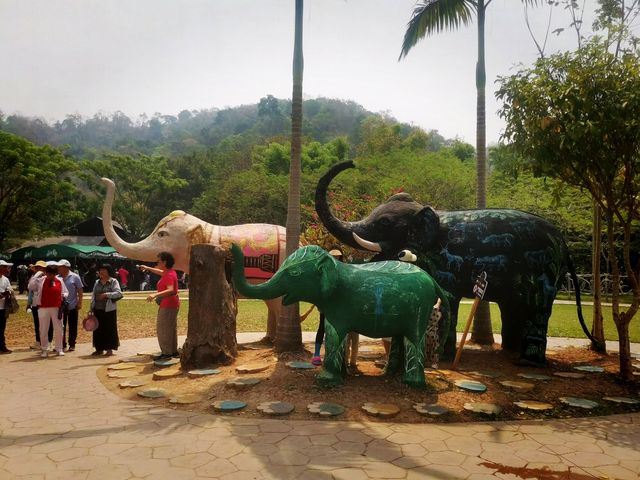 西雙版納原始森林公園