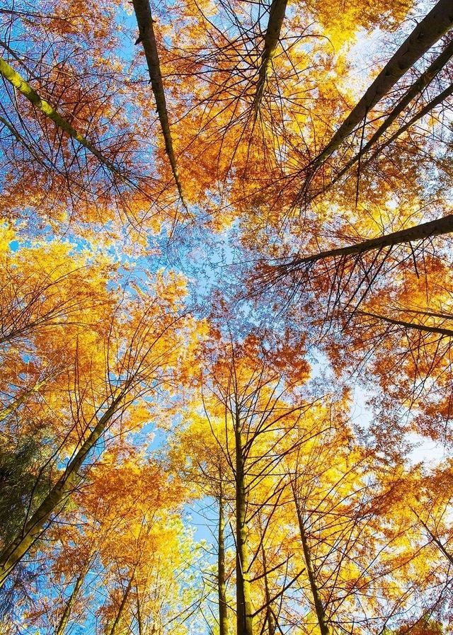 萬象 | 廣元之冬的歌行