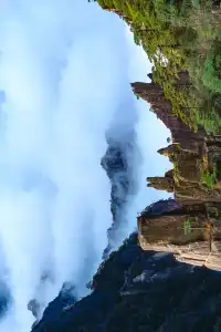 別再只知道迎客松了!這裡才是黃山的神!!