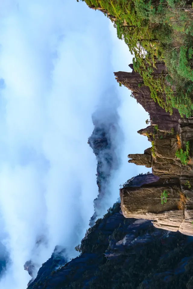別再只知道迎客松了!這裡才是黃山的神!! 別再只知道迎客松了!這裡才是黃山的神!!