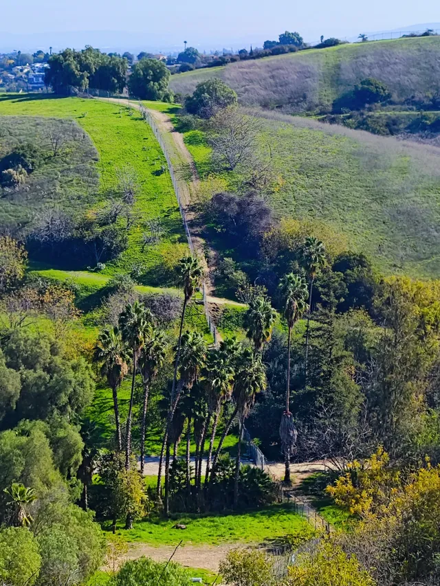 洛杉磯隱藏版城市青丘Ascot Hills Park