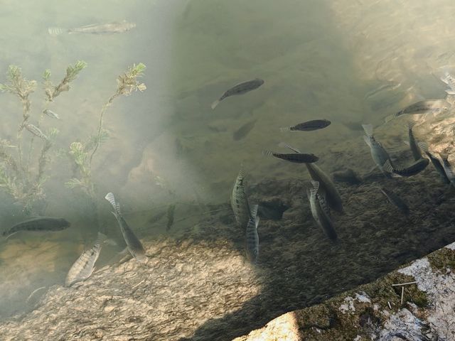 古韻鵝泉絕美秘境 古韻鵝泉絕美秘境