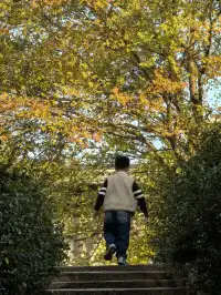 濮院|從宜興出發1.5h找到古鎮白月光!