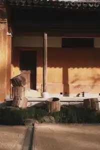 天台山藏了1400年的秘密,一草一木皆佛性