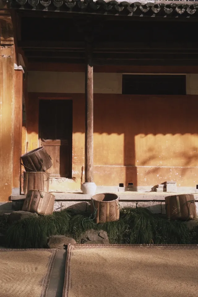 天台山藏了1400年的秘密,一草一木皆佛性 天台山藏了1400年的秘密,一草一木皆佛性