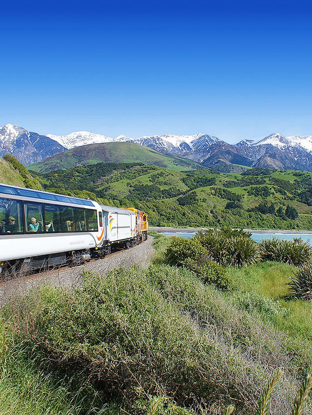 新西蘭12日遊冬天來這玩太值了 新西蘭12日遊冬天來這玩太值了