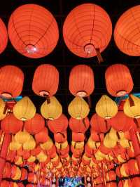 昆明大觀公園新春燈會(八)