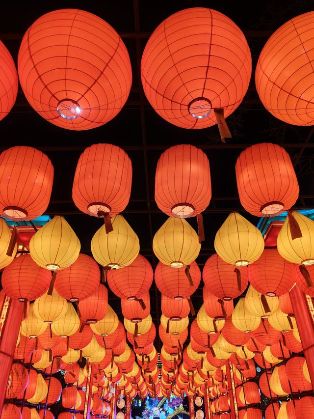 昆明大觀公園新春燈會(八) 昆明大觀公園新春燈會(八)