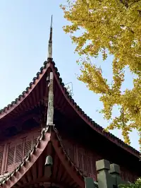 live赴一場人少景美的寶山寺唐風紅葉之約