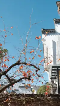 南京周邊遊——皖南的秋