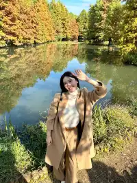 終於等到了12月的南京