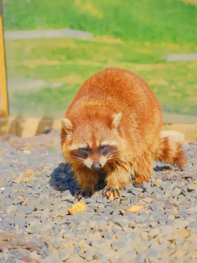 安吉二日遊攻略|解鎖冬日限定快樂 安吉二日遊攻略|解鎖冬日限定快樂