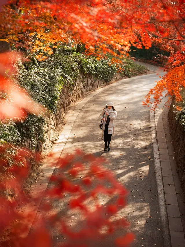 12.5實況|中山植物園這幾個機位包出片的! 12.5實況|中山植物園這幾個機位包出片的!
