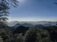 週末玩轉湖州莫干山 and 下渚湖濕地公園