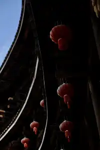 來漳州南靖看土樓真的不建議報團……