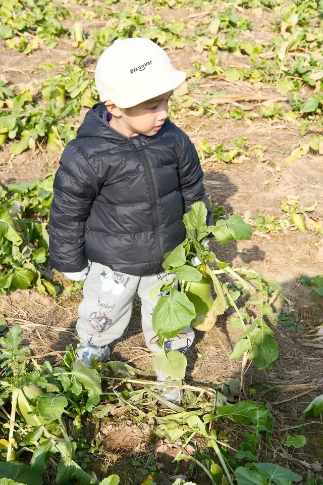 米禾農場真的去不夠|挖完紅薯拔蘿蔔 米禾農場真的去不夠|挖完紅薯拔蘿蔔
