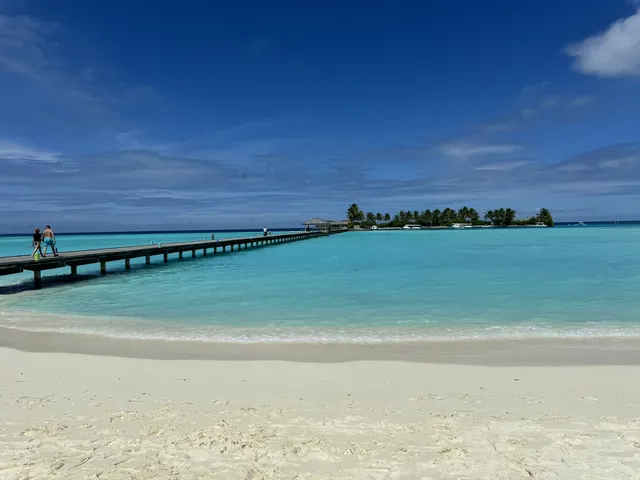 馬爾代夫太陽島管家好棒! 馬爾代夫太陽島管家好棒!