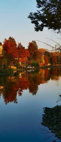 夕陽映照下的歐式建築構成的絕美風景