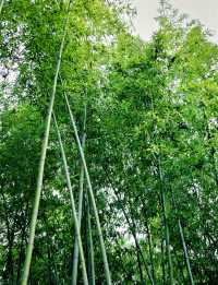 合肥私藏City walk路線 暢行霸都