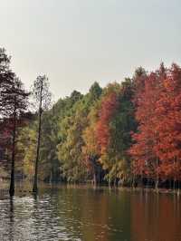 尚湖秋日醉美秘境