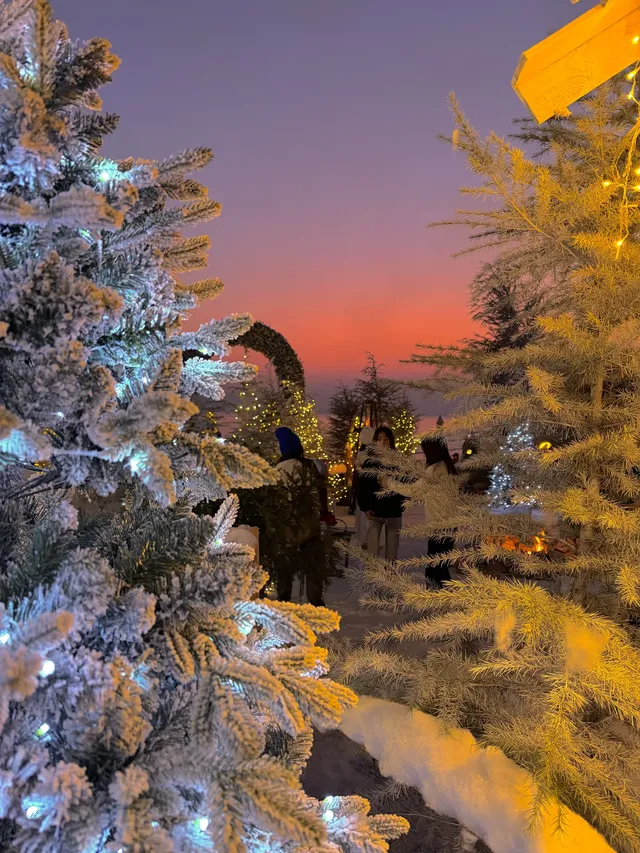 預計會是珠海下一個爆火打卡點 預計會是珠海下一個爆火打卡點