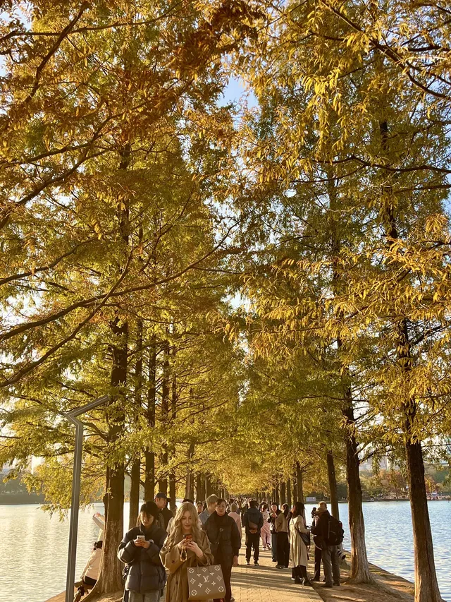 長沙賞秋超全攻略|看萬山紅遍,層林盡染 長沙賞秋超全攻略|看萬山紅遍,層林盡染