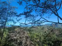 武夷山山水封神攻略碧水丹山治癒之旅