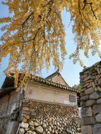 不是騰衝!在溫州!浙南12月濃烈的生命力~