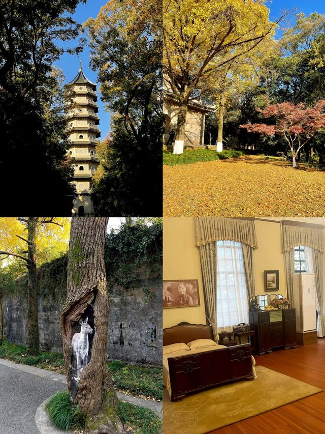 步數登頂的快樂誰懂!南京暴走一天滿是治癒感 步數登頂的快樂誰懂!南京暴走一天滿是治癒感