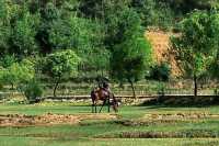 推薦一個雲南大理真正冷門的古村落