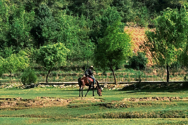 推薦一個雲南大理真正冷門的古村落 推薦一個雲南大理真正冷門的古村落