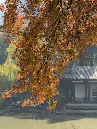 一座公園愛上一座城|我見到駱賓王詩裡的鵝