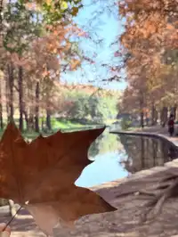 這風景好美,真的好想讓所有人🫘看到