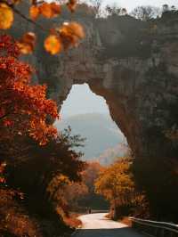 濰坊石門坊親子賞秋!帶娃解鎖漫山紅葉的浪漫