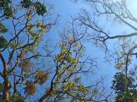 冬日泉州｜清源山的絕美夕陽剪影