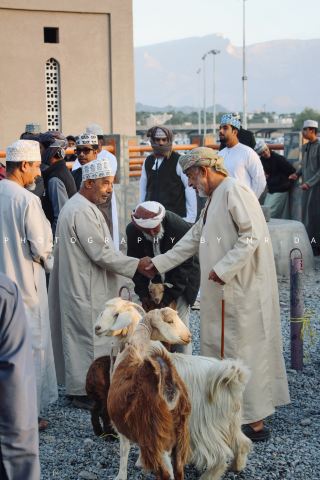 부모님과 함께 오만 여행, 금요일 아침은 니즈와 양시장에 꼭 할애하세요