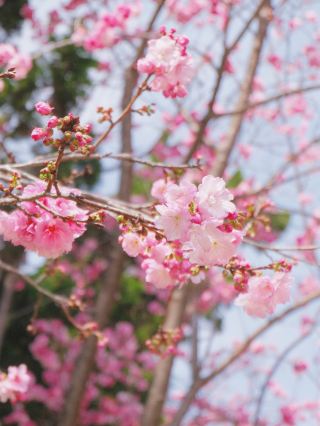 Kunming Kasion｜Springtime Leisure Exploration Guide