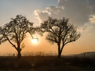 草海のそばの高評価ホテルおすすめ