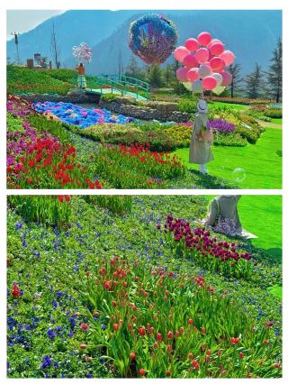 Hidden Wonderland in Zibo: Escape to Monet Garden for Stunning Photos!