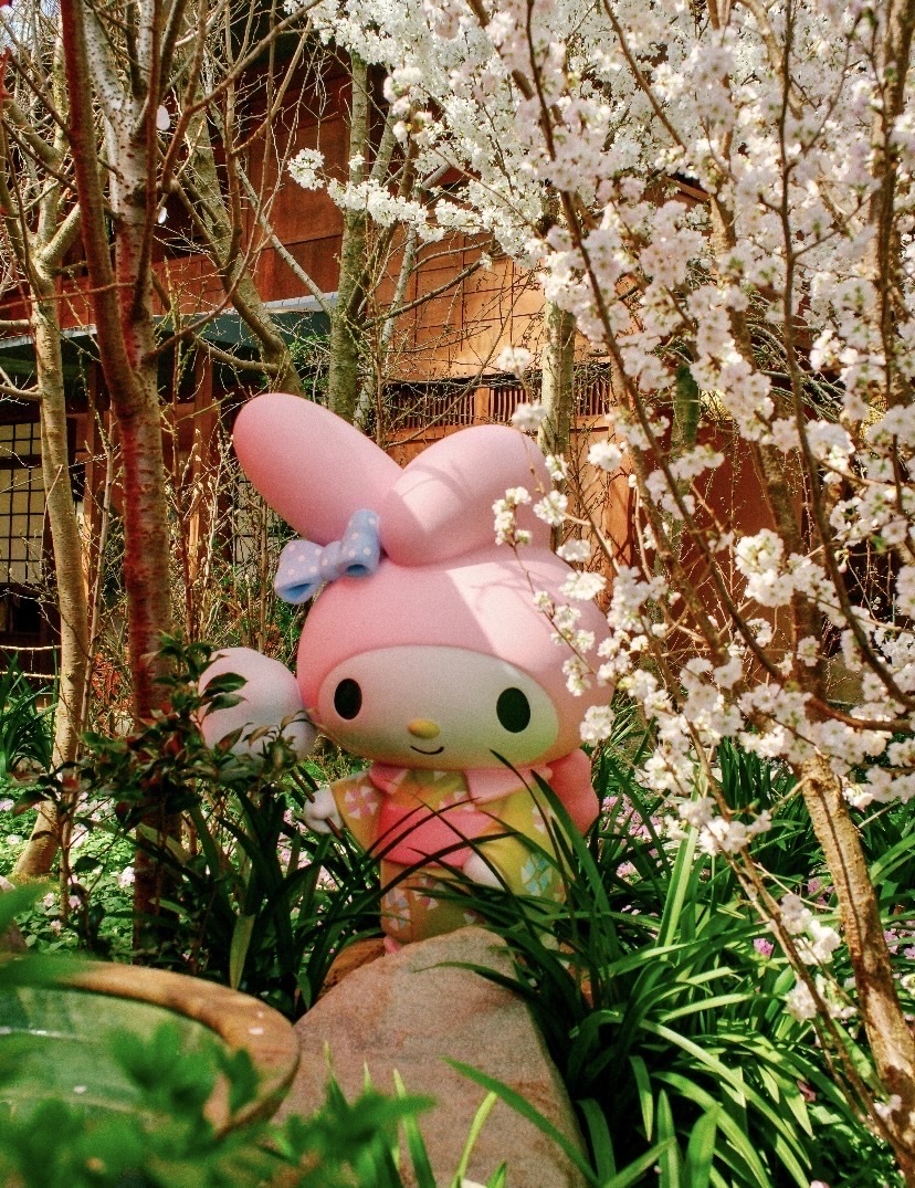 Hello Kittyがシンガポールで桜を見に来たよ🌸ピンクの夢の世界が息を
