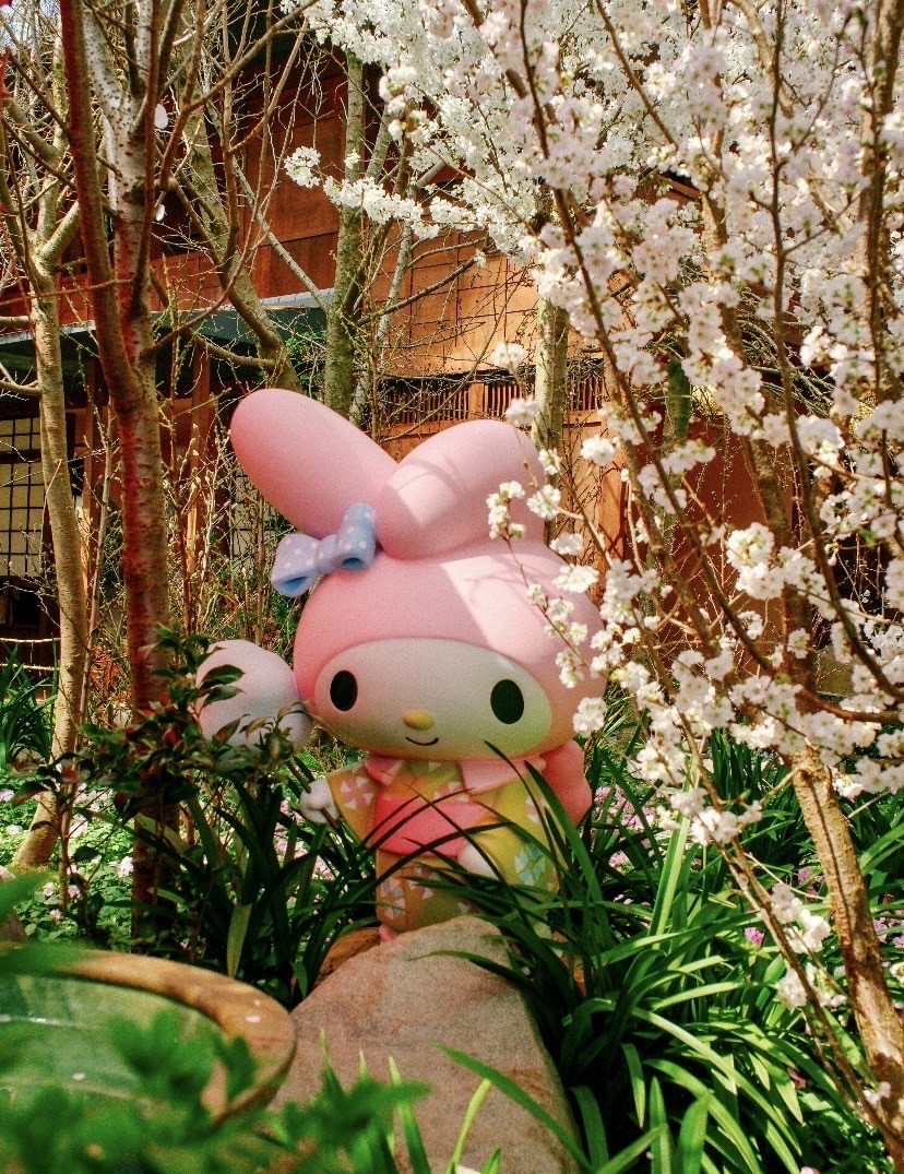 Hello Kittyがシンガポールで桜を見に来たよ🌸ピンクの夢の世界が息を