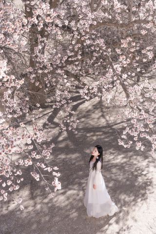 ฤดูใบไม้ผลิในปามีร์: สูดอากาศท่ามกลางยอดเขาที่ปกคลุมด้วยหิมะและดอกแอปริคอตบานสะพรั่ง