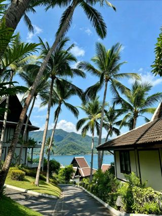 สถานที่ท่องเที่ยวลับในมณฑลกวางตุ้ง! ป่าหินปูนอิงซีมอบประสบการณ์โรแมนติกยามกลางวันที่งดงาม