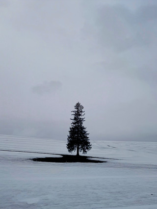 4月北海道雪與春之間，美瑛感性之旅